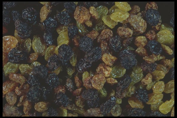 322012 Raisin Mix A4 Photo Print