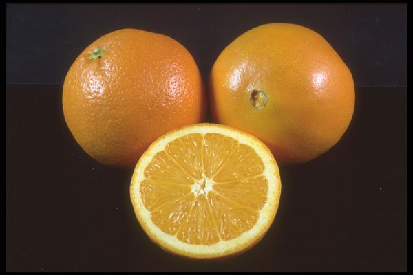 322015 Orange A4 Photo Print