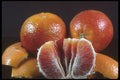322016 Blood Orange A4 Photo Print