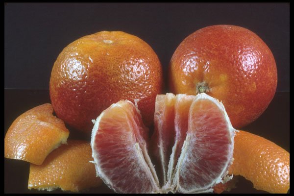 322016 Blood Orange A4 Photo Print