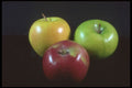 322019 Apple Trio A4 Photo Print
