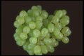 322022 Green Grapes A4 Photo Print