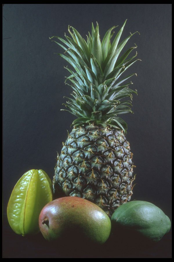 322026 Exotic Fruit A4 Photo Print