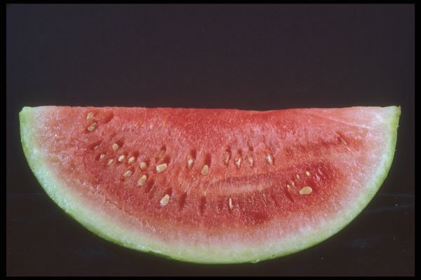 322036 Watermelon A4 Photo Print