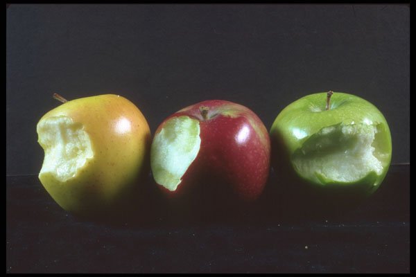 322042 An Apple A Day A4 Photo Print