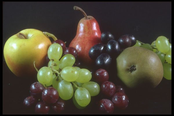 322043 Still Life A4 Photo Print