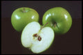 322044 Green Apple A4 Photo Print