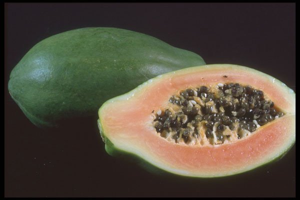322046 Papaya A4 Photo Print