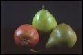 322048 Pear Trio A4 Photo Print
