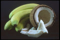 322049 Banana Coconut A4 Photo Print