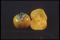 322050 Persimmon A4 Photo Print