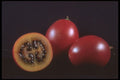 322051 Passion Fruit Split A4 Photo Print
