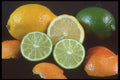 322053 Lemons And Limes A4 Photo Print