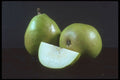 322055 Green Pear A4 Photo Print