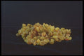 322056 Golden Raisins A4 Photo Print