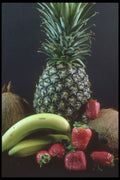 322061 Daquiri Mix A4 Photo Print