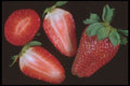 322062 Strawberry A4 Photo Print