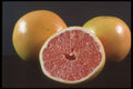 322064 Grapefruit A4 Photo Print