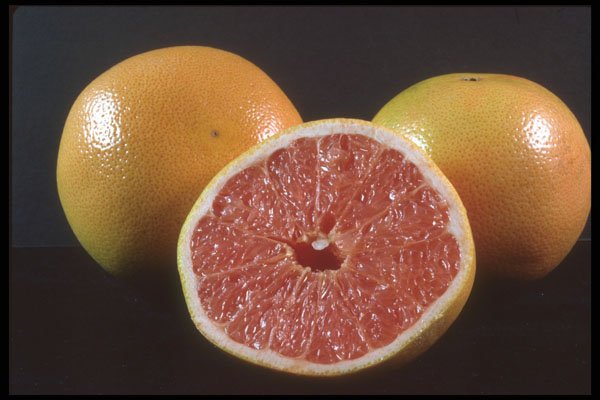 322064 Grapefruit A4 Photo Print