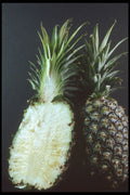 322071 Pineapple Inside Out A4 Photo Print