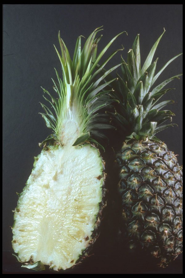 322071 Pineapple Inside Out A4 Photo Print