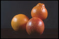322072 Orange Trio A4 Photo Print