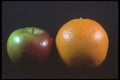 322074 Comparing Apples And Oranges A4 Photo Print