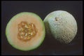 322075 Sliced Melon A4 Photo Print