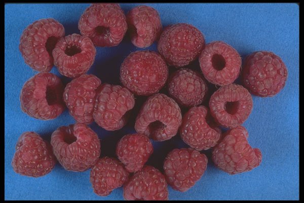 322077 Raspberries A4 Photo Print
