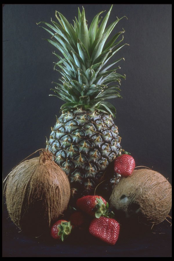 322080 Pineapple Coconut Berry A4 Photo Print