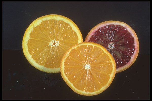 322081 Orange Slices A4 Photo Print