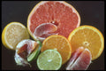 322083 Citrus A4 Photo Print