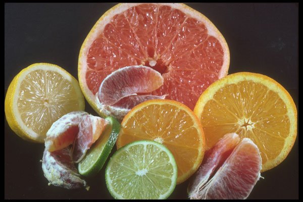 322083 Citrus A4 Photo Print