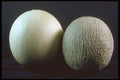 322085 Melon Duo A4 Photo Print