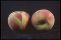 322086 Peach Duo A4 Photo Print