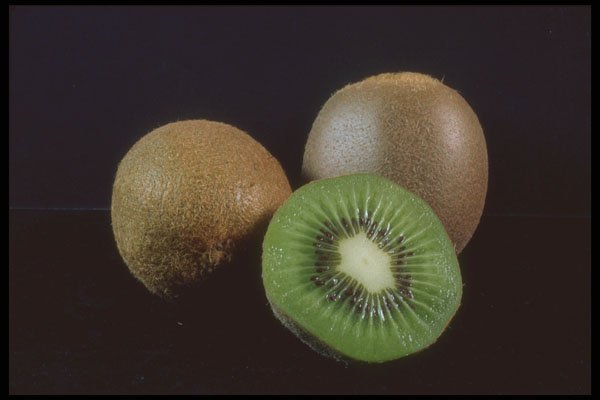 322088 Kiwi Trio A4 Photo Print
