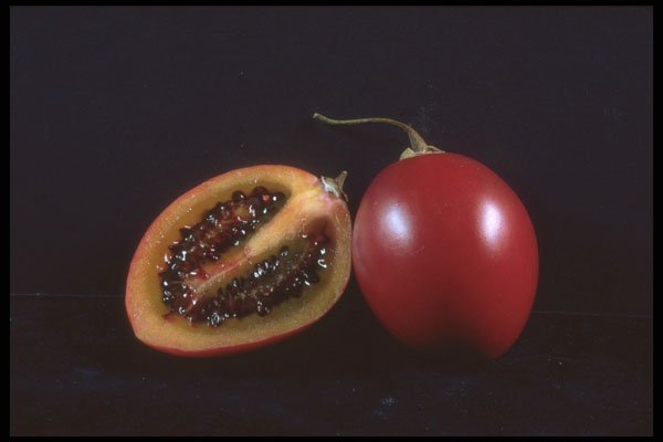 322089 Passion Fruit Inside Out A4 Photo Print