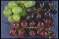 322097 Grape Cluster A4 Photo Print