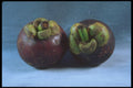 322098 Pitaya A4 Photo Print