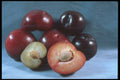 322099 Plums A4 Photo Print