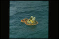 323004 Floating At Sea A4 Photo Print