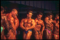 324017 Bodybuilders A4 Photo Print