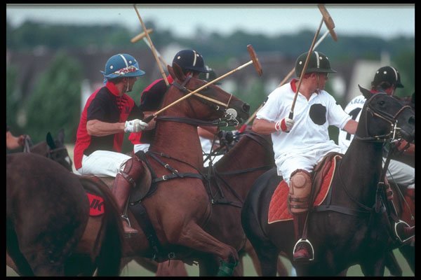 324032 Polo Match A4 Photo Print