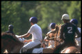 324034 Horse Ball Players A4 Photo Print