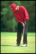 324042 Golfer Putting A4 Photo Print