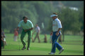 324050 Golfers A4 Photo Print
