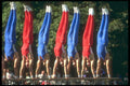 324060 Gymnasts On Parallel Bars A4 Photo Print
