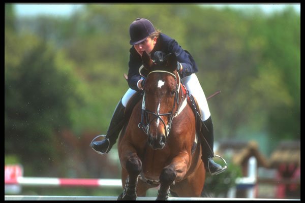 324062 Equestrian Rider A4 Photo Print