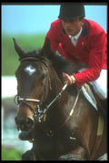 324095 Equestrian rider A4 Photo Print