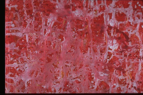 327000 Marbleized Red A4 Photo Print